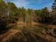 Scenic pond surrounded by lush trees and foliage at 2042 Highway 402, Moncks Corner, SC 29461