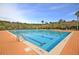 A community pool with lane markers shows clear blue water under a bright blue sky and palm trees at 2136 Baldwin Park Dr, Mount Pleasant, SC 29466