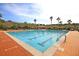 Beautiful community pool with brick trim, several palm trees, and a covered common area at 2136 Baldwin Park Dr, Mount Pleasant, SC 29466