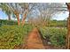 Scenic walkway with hedges and trees leading to the playground area at 2136 Baldwin Park Dr, Mount Pleasant, SC 29466