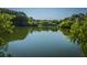 Scenic community pond surrounded by lush greenery, creating a serene and tranquil atmosphere at 29 Meander Row, Charleston, SC 29412