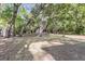 Backyard featuring mature trees, overgrown vegetation, and small wooden outbuilding at 3484 Johan Blvd, Johns Island, SC 29455