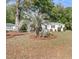 Quaint cottage-style home with palm tree and fresh landscaping at 3484 Johan Blvd, Johns Island, SC 29455