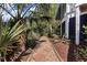 A stone path winds through lush tropical landscaping, creating a serene and inviting walkway alongside the home at 3600 Henrietta Hartford Rd, Mount Pleasant, SC 29466