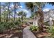 A beautifully landscaped walkway leading to the home's entrance, framed by palm trees, shrubs, and mulch beds at 3600 Henrietta Hartford Rd, Mount Pleasant, SC 29466