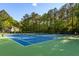 Well-maintained tennis courts surrounded by lush trees, providing an excellent space for sports and recreation at 540 Castle Hall Rd, Mount Pleasant, SC 29464