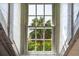 Bright window view framing a lush palm tree and greenery at 55 Laurens St # 55-A, Charleston, SC 29401