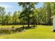 Large backyard with pond and mature trees including swing at 5680 Dixie Plantation Rd, Hollywood, SC 29449