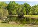 Picturesque pond with lush green surroundings and a small foot bridge at 5680 Dixie Plantation Rd, Hollywood, SC 29449