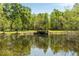 Beautiful pond with clear reflections, surrounded by lush greenery and mature trees at 5680 Dixie Plantation Rd, Hollywood, SC 29449