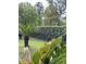 Serene backyard view showcasing vibrant greenery and mature landscaping for privacy at 5691 Captain Kidd Rd, Hollywood, SC 29449