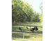 Backyard featuring wild turkeys grazing peacefully in a serene, wooded setting at 5691 Captain Kidd Rd, Hollywood, SC 29449