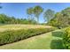 Lush, green grounds features trimmed hedges, a hill and stately pine trees under a bright blue sky at 777 Hamlet Cir, Goose Creek, SC 29445