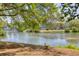 Scenic water view with mature trees, a goose, and neighborhood homes in the distance at 79 Rivers Point, Charleston, SC 29412