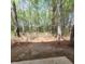 Picture of the wooded backyard and foliage at 9471 Netted Charm Ct, Ladson, SC 29456