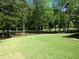Large, well-manicured backyard with lush lawn, mature trees, and attractive black metal fencing at 9677 Islesworth Way, Summerville, SC 29485