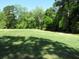 Lush, grassy backyard bordered by mature trees and landscaping, ideal for outdoor activities at 9677 Islesworth Way, Summerville, SC 29485