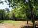 Expansive green space with mature trees offering a tranquil and natural setting for outdoor enjoyment at 9677 Islesworth Way, Summerville, SC 29485