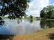 Scenic pond reflecting nearby homes, framed by a grassy bank, creating a tranquil community setting at 9677 Islesworth Way, Summerville, SC 29485