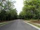 Scenic street view lined with lush green trees and foliage creating a peaceful neighborhood setting at 9677 Islesworth Way, Summerville, SC 29485