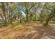 Wooded lot with scattered leaves, featuring tall trees and a glimpse of the home at 1214 Tabby Dr, Folly Beach, SC 29439