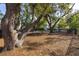 Community dog park surrounded by mature trees at 1470 Eutaw Battalion Dr, Charleston, SC 29412