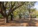 Winding park trail surrounded by mature trees and pond at 1470 Eutaw Battalion Dr, Charleston, SC 29412