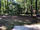 Wooded backyard with lush trees, natural groundcover, and a charcoal grill at 1496 Cypress Pointe Dr, Mount Pleasant, SC 29466
