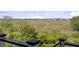 Scenic backyard with views of trees and an open field perfect for recreation or enjoying nature from home at 1500 Bower Ln, Johns Island, SC 29455