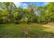 Spacious backyard featuring lush green grass and mature trees providing ample shade at 1518 Southwick Dr, Johns Island, SC 29455