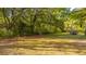 Expansive backyard featuring a well-maintained lawn and a border of mature trees and foliage at 1518 Southwick Dr, Johns Island, SC 29455