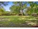 Expansive backyard with healthy lawn and mature trees, providing ample space for recreation and relaxation at 210 S Gum St, Summerville, SC 29483