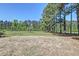 Spacious fenced backyard featuring an open field surrounded by mature trees at 2102 Williams Rd, Ruffin, SC 29475