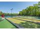 Well-maintained tennis and bocce ball courts, surrounded by lush greenery at 2290 Deer Sight Way, Mount Pleasant, SC 29466