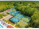Aerial view of pickleball, bocce, and tennis courts nestled in a beautifully landscaped community at 2290 Deer Sight Way, Mount Pleasant, SC 29466