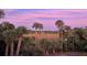 A scenic view of a marsh and palm trees at sunset from the backyard at 2444 Darts Cove Way, Mount Pleasant, SC 29466