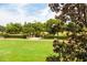 Expansive green lawn overlooking picturesque trees with a manicured hedge in the background at 2444 Darts Cove Way, Mount Pleasant, SC 29466