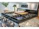 Modern stainless gas range with granite countertops and tile backsplash at 293 Firewheel Ct, Summerville, SC 29486