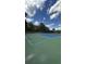 Outdoor basketball and tennis court with a green playing surface and blue inbounds, perfect for sports at 3023 Maritime Forest Dr, Johns Island, SC 29455