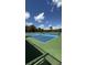 Outdoor pickleball courts with green and blue playing surfaces, perfect for a friendly match at 3023 Maritime Forest Dr, Johns Island, SC 29455