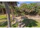 Backyard featuring lush greenery and mature palm trees creating a private outdoor oasis at 3308 Myrtle St, Edisto Beach, SC 29438