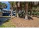 Charming home with palm trees, featuring a welcoming front porch and a well-maintained yard at 3308 Myrtle St, Edisto Beach, SC 29438