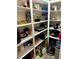 Well stocked walk-in pantry with lots of storage at 3308 Myrtle St, Edisto Beach, SC 29438