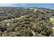 Aerial view showcases property with trees, golf course, and ocean views in a lush, coastal environment at 3510 Deer Run Rd, Seabrook Island, SC 29455