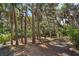 Lush, vibrant yard boasting an array of mature palms and native plants to compliment this property's peaceful setting at 3510 Deer Run Rd, Seabrook Island, SC 29455