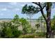 Scenic marsh view through the trees with some open water and distant buildings at 37 Marsh Edge, Kiawah Island, SC 29455