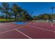 Brightly colored basketball court perfect for some pick up games and surrounded by lush greenery at 4407 Wild Thicket Ln, North Charleston, SC 29420