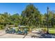 Golf carts parked in a scenic outdoor setting, with lush trees and a clear blue sky at 4407 Wild Thicket Ln, North Charleston, SC 29420