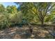 A fun and safe playground featuring various play structures and equipment for children at 4407 Wild Thicket Ln, North Charleston, SC 29420
