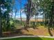 Marsh view through mature trees and palm trees at 1002 Blockade Runner Ct, Charleston, SC 29414
